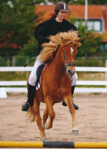 Bliv tryg ved din hest igennem hypnose - rytterhypnose
